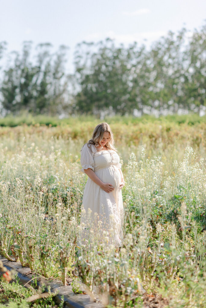 Natural maternity portrait in open field at Kai-Kai Farm with early morning glow